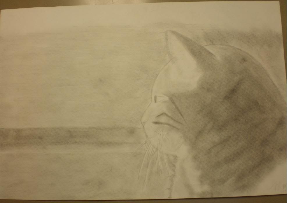LilyDrawing.jpg