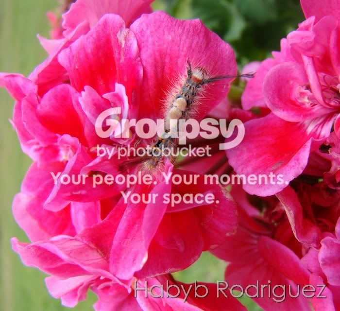 Image00002.jpg