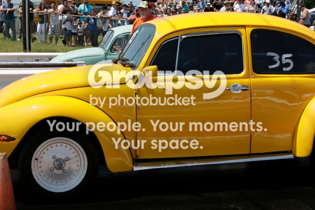 yellowbug.jpg