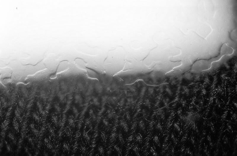 570505_017_K400_01_09_1.jpg