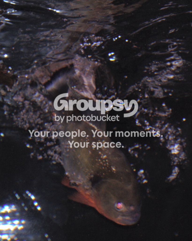 splash2.jpg