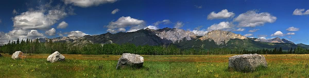 WideView-web.jpg