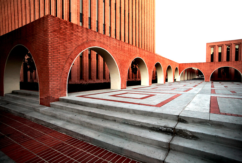IMG_2399-X3.jpg