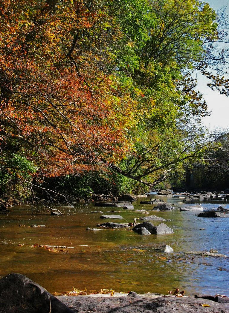 riverbank_by_raismash-d321wml.jpg