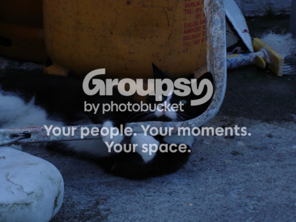 housestuff004.jpg