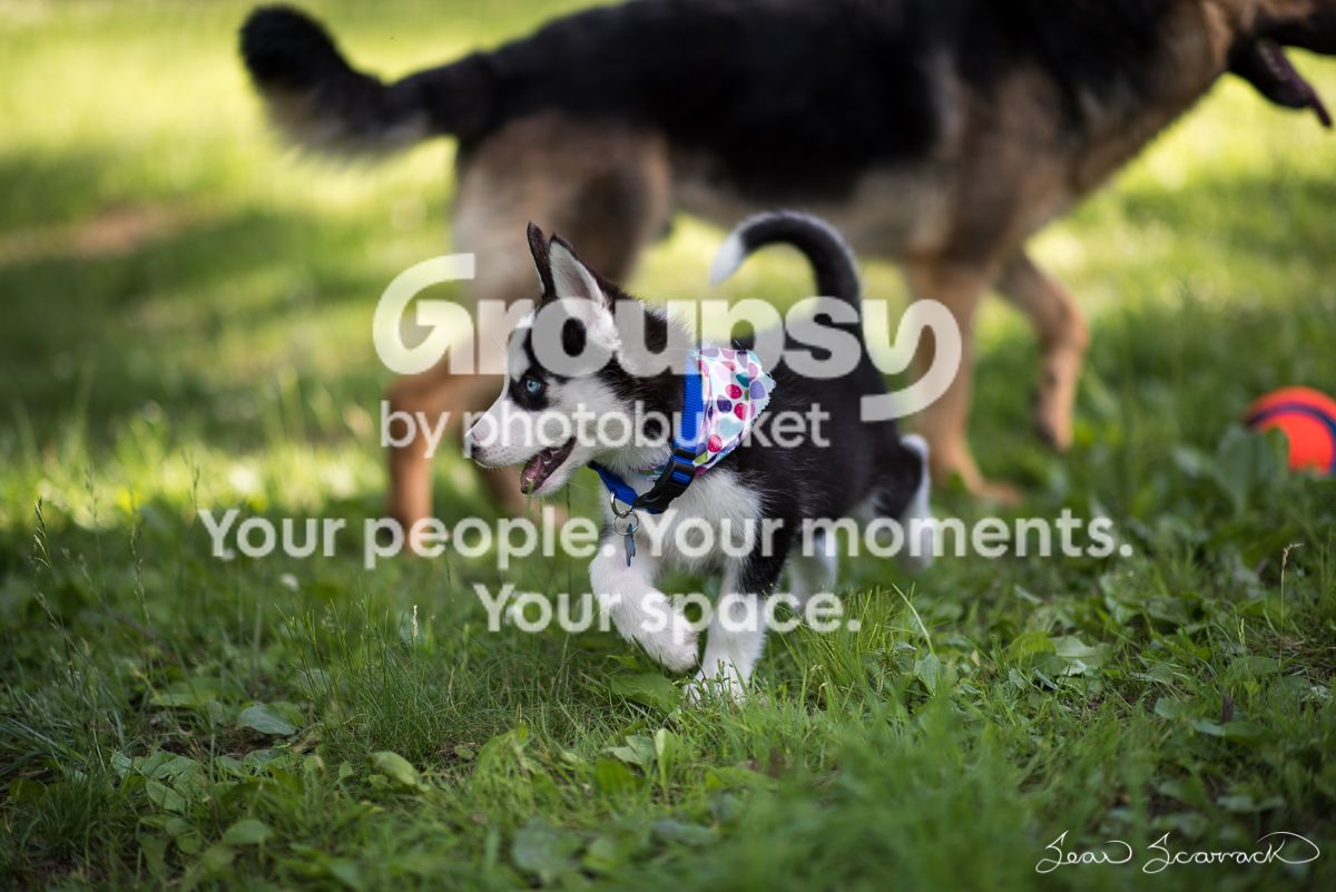 20150606-018_zps6cvytym0.jpg