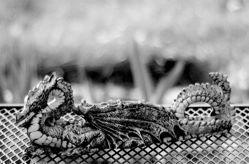 Dragon041506001.jpg