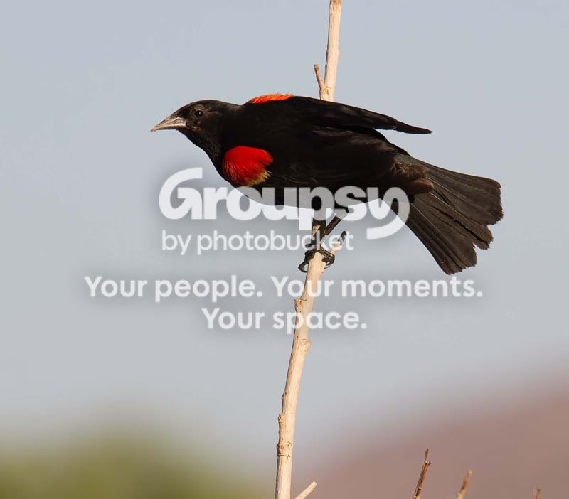 IMG_7270-Edit-2.jpg