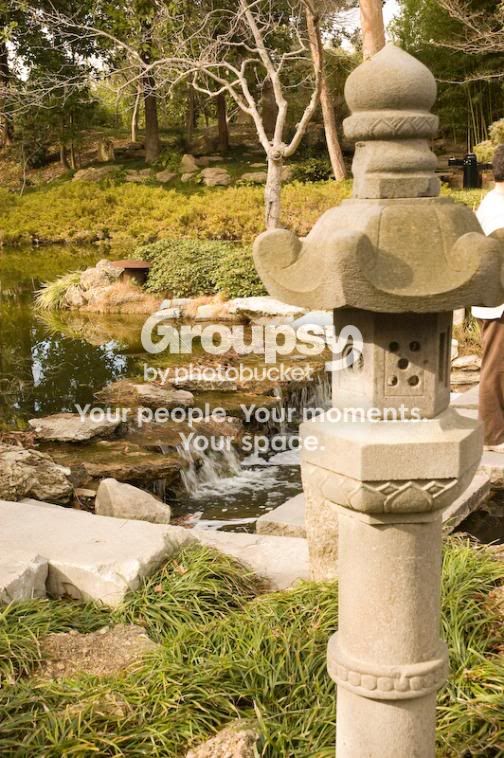 jap_garden-11.jpg