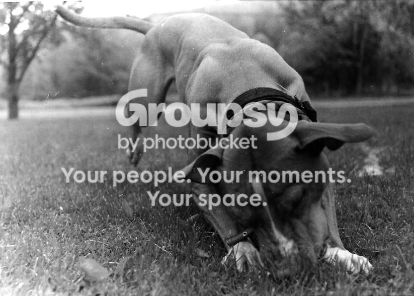 shoot3007.jpg