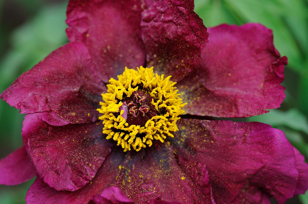 DSC_00163-X2.jpg