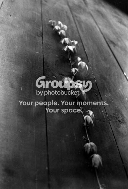 shoot2005.jpg