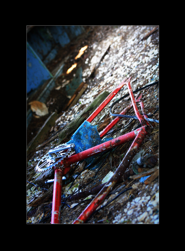 Abandoned_Beauty_by_TeeEmTwentyTwo.png