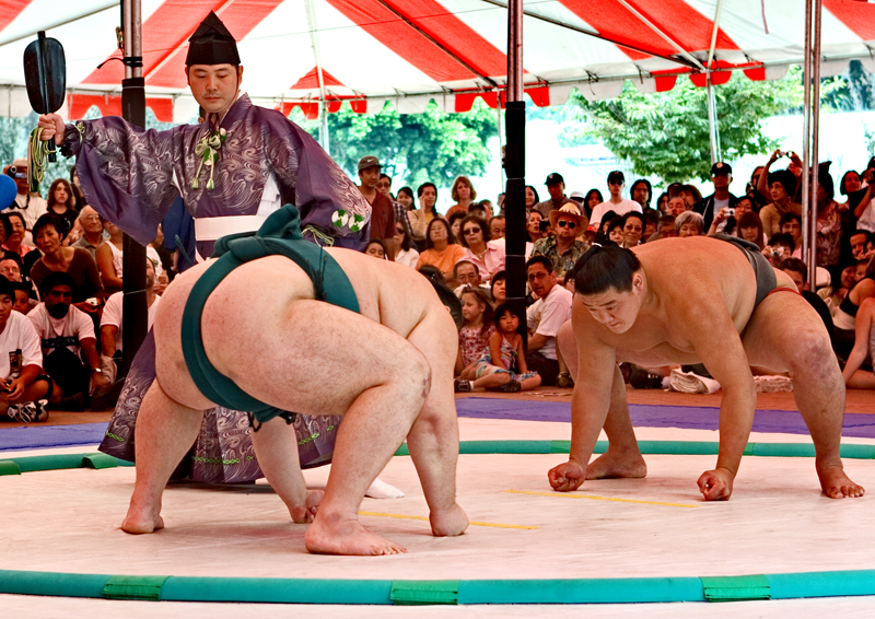 Sumo%2011-L.jpg