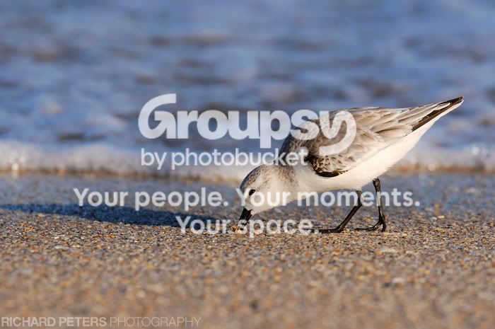 DSC_0028_sand.jpg