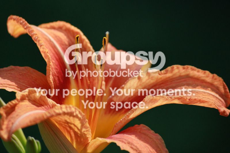 7-6-2.jpg