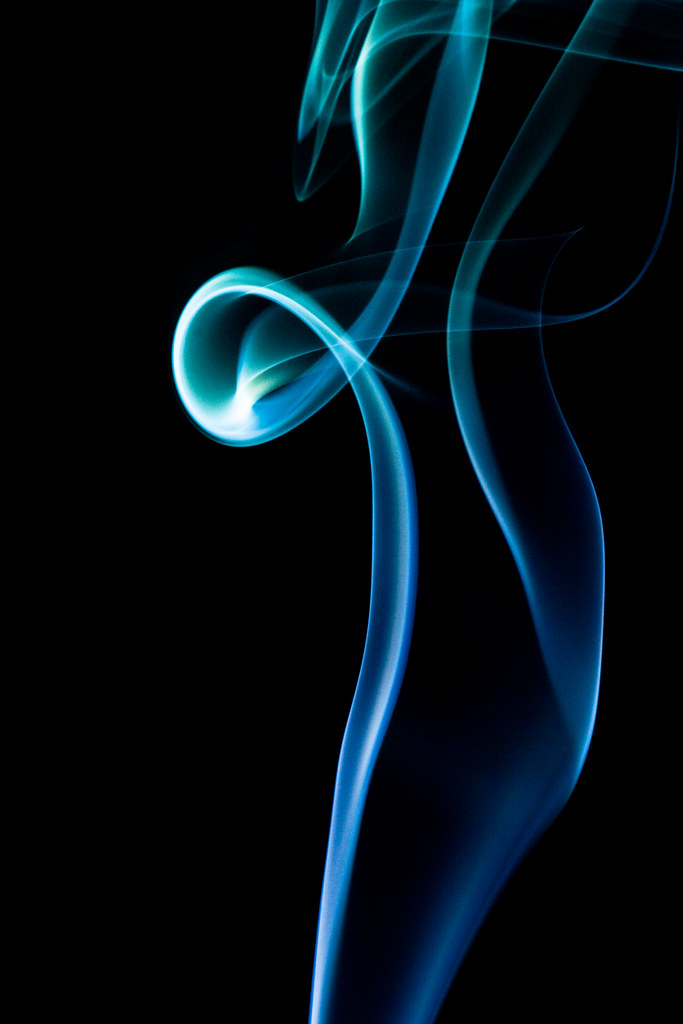 4450623439_2b65634f0d_b.jpg