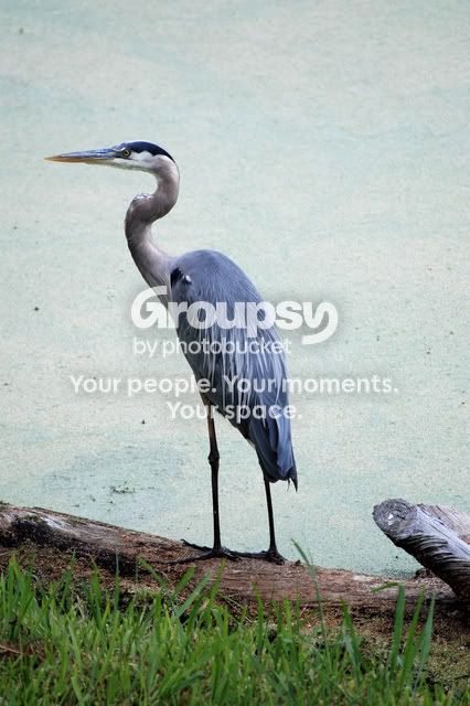 DSC_01880001.jpg