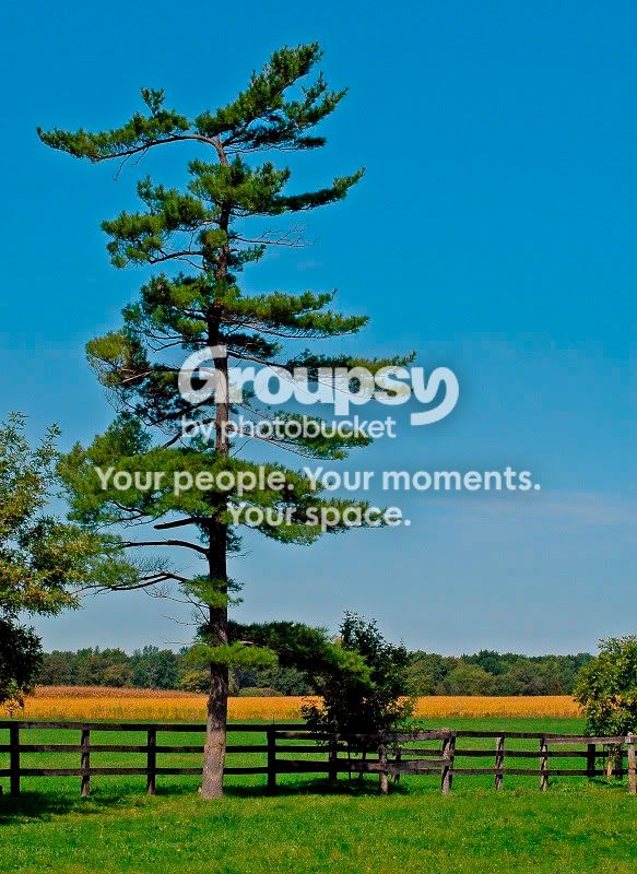 websize2005farm.jpg