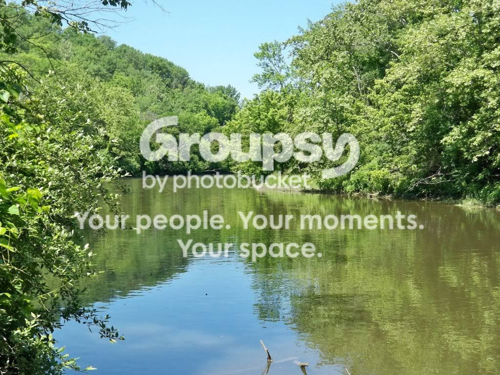 beauty.jpg