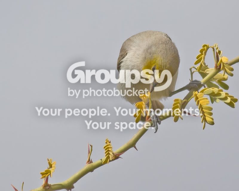 IMG_7836-Edit.jpg