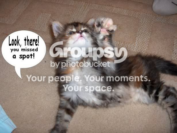 kits.jpg