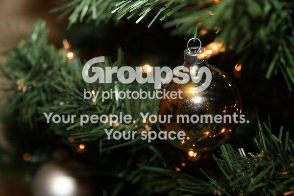 xmas2005.jpg