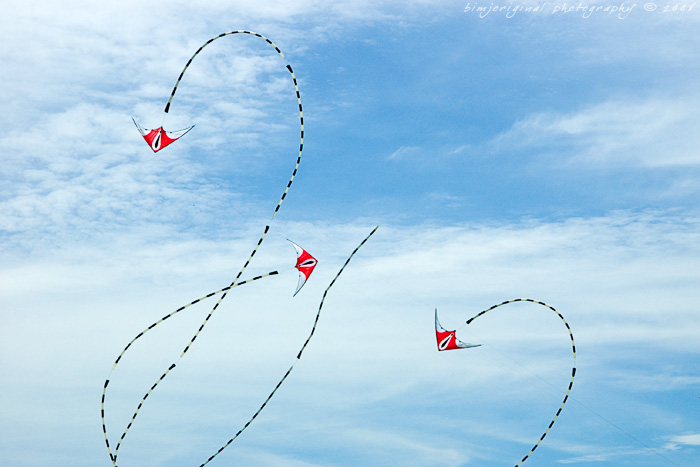 newport_kites060904_06.jpg