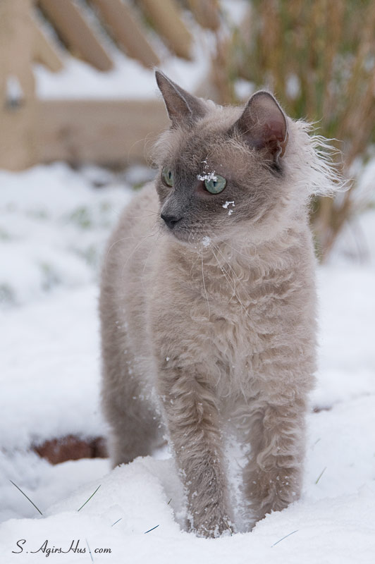 DSC_9868_800.jpg