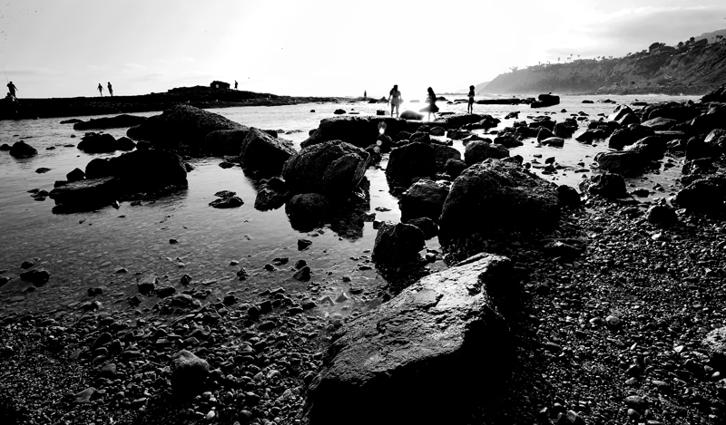 IMG_0506-L.jpg