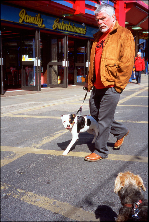 scan595-XL.jpg