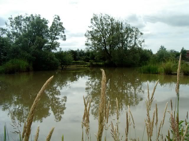 IMGP0746.jpg