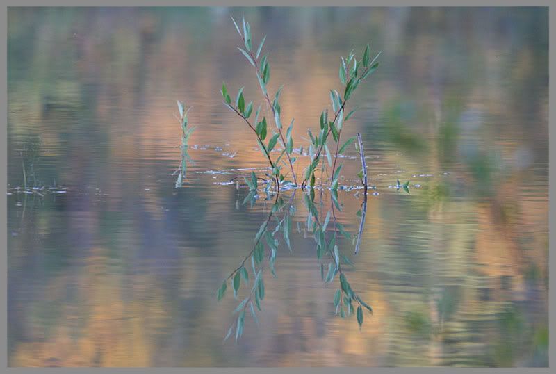 fall-pastels-bord-IMG_3554.jpg