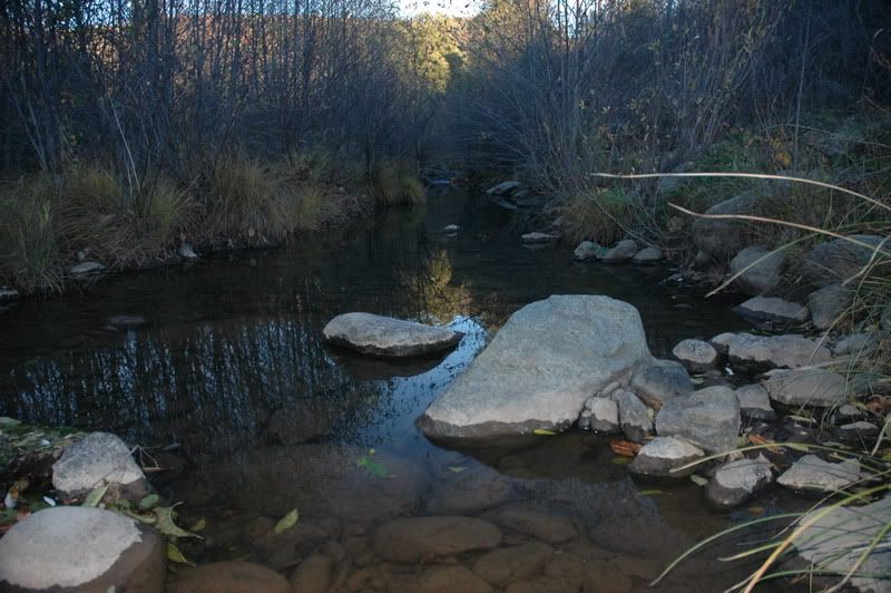 dsc_0004.jpg