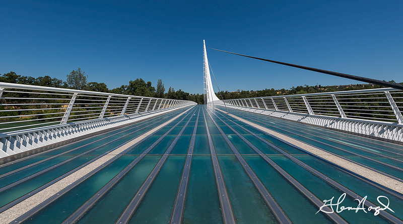 p2507959252-4.jpg