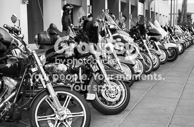 bikes.jpg