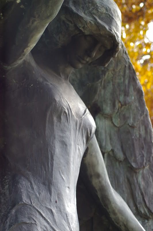 IMGP0516.jpg