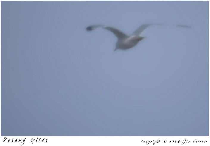 dream_glide.jpg