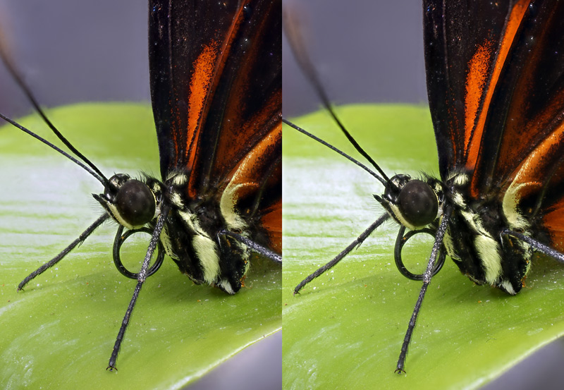 monarch_stereo_03_800.jpg