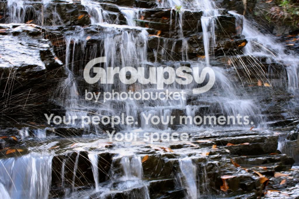 IMG_0599.jpg