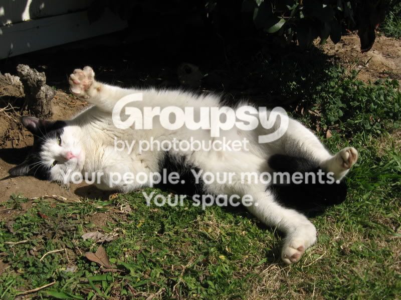 family028.jpg