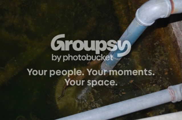 DSC_0022.jpg