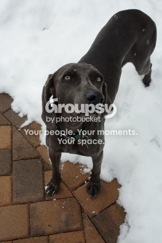 snow042editay.jpg