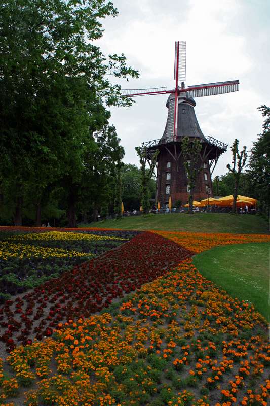 windmillbb6.jpg