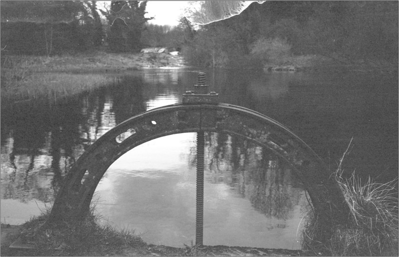 scan479-L.jpg