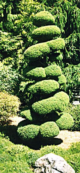 Butchart-006.jpg