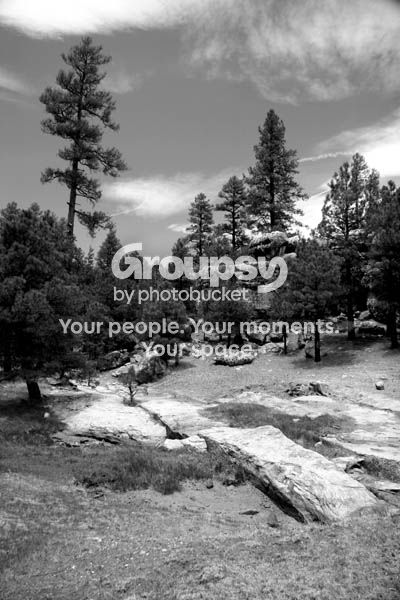 az_4633.jpg