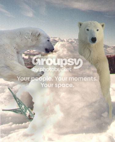 polar.jpg