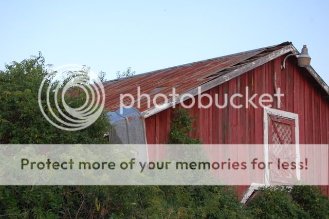 oldbarnfront.jpg