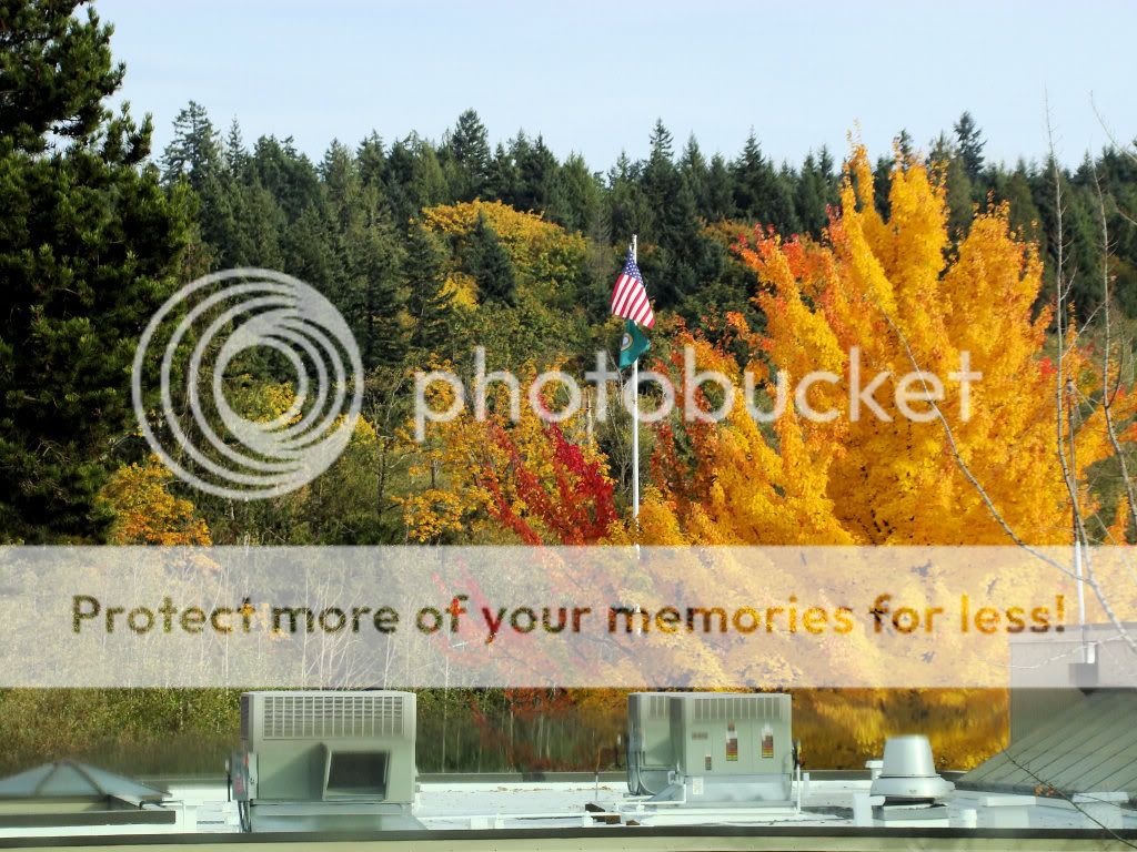 AutumnInTheCity-Oct19-08-EditLowRes.jpg